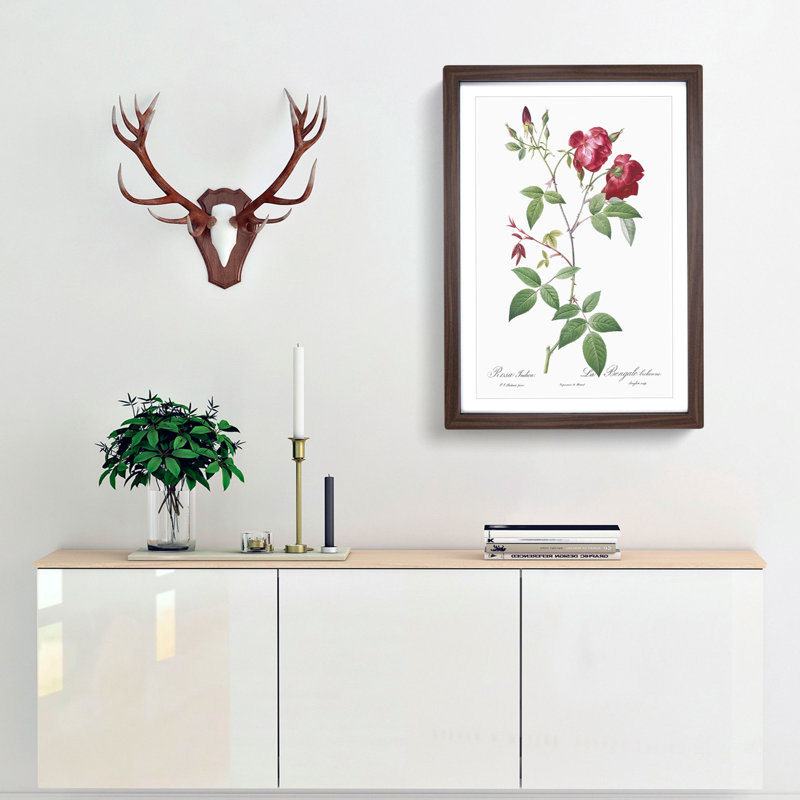 Velvet China Rose in Pink by Pierre-Joseph Redoute - Picture Frame Painting Print, 48cm H x 65cm W x 2cm D, Walnut Framed