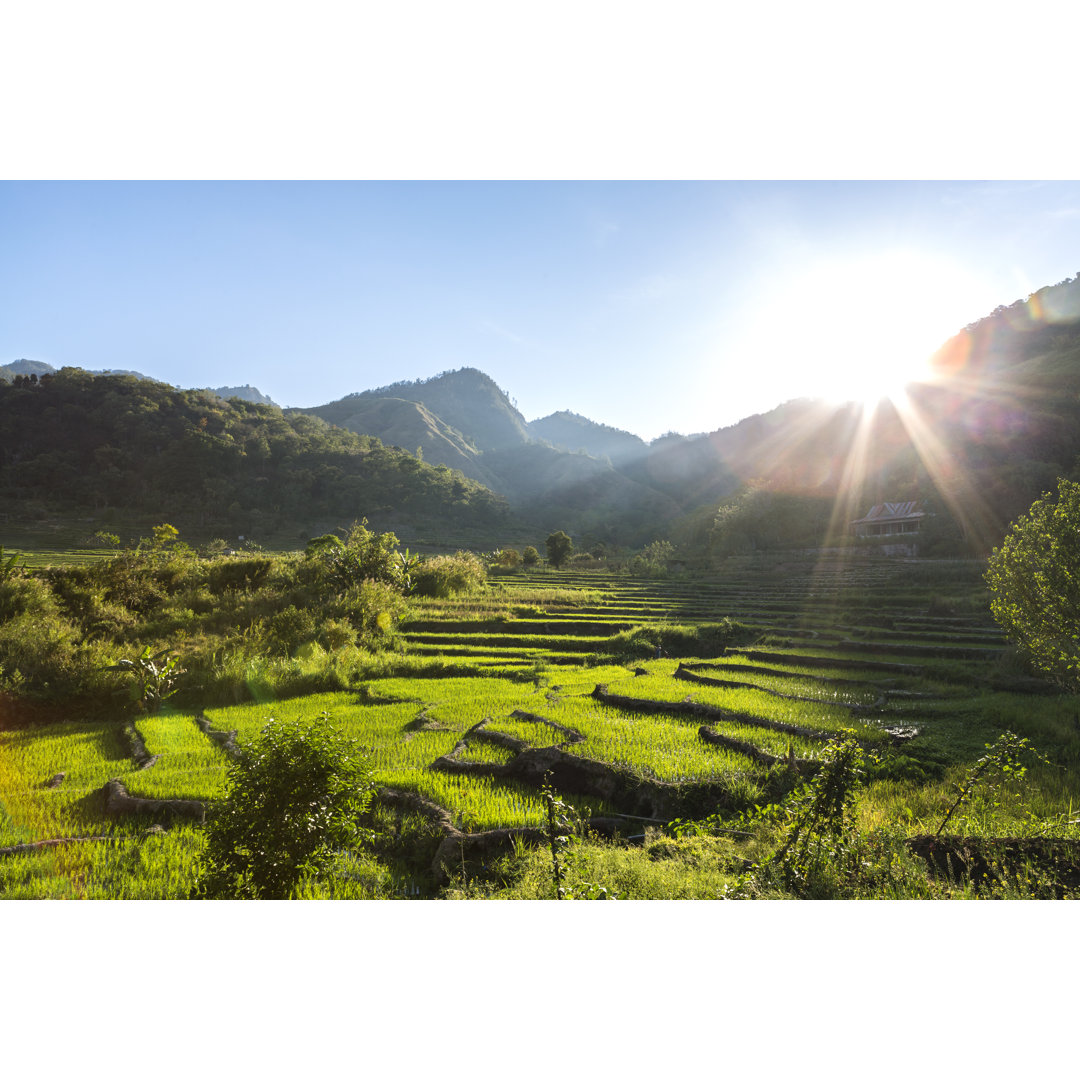 Terrassen-Reisfeld in Flores von Joakimbkk - Leinwandbild