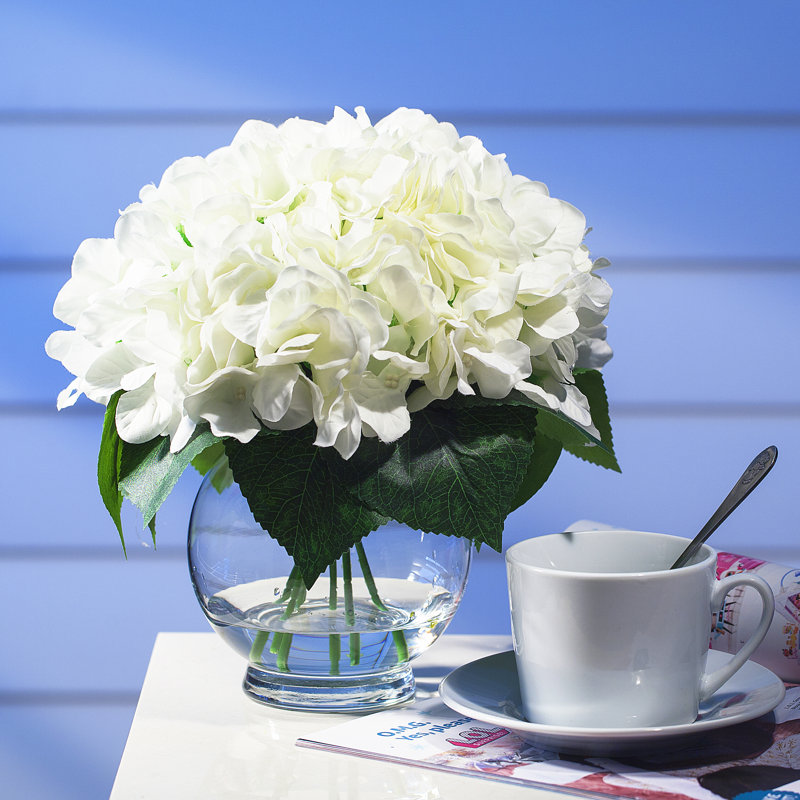 Arrangement floral d'hortensias dans un vase, Crème