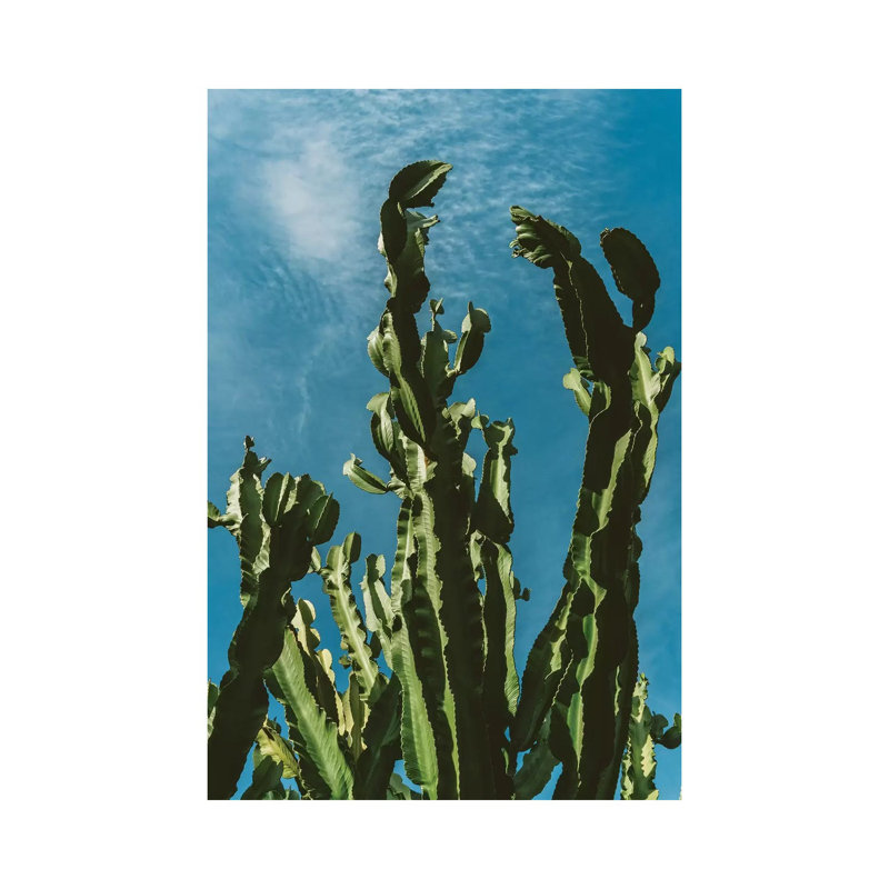 Cactus Sky II by Bethany Young - Print on Canvas, Wrapped Canvas, 101.6cm H x 66.04cm W x 3.81cm D