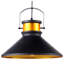 Carroll 1 - Light Cone Pendant