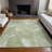 Premium Machine Washable Prisco Aloe Rug-128775860