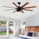 Bartling 52"/66" 8-Plywood-Blades Modern Ceiling Fan with Lighting Kit and Smart Remote