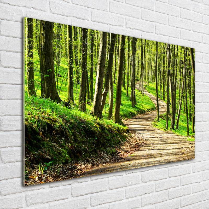 Glass Print Wall Art 100X70cm Image Printed On Glass Decorative Wall Picture Behind Toughened / Tempered Safety Real Glass For Kitchen & Living Room Theme:Path In The Forest
