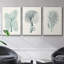 Antique Coastal Coral I, impression sur toile 3 pièces-91887264-91887263