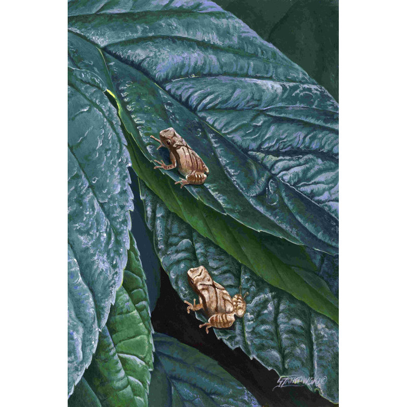 Spring Peepers II, H 18 po x l 12 po