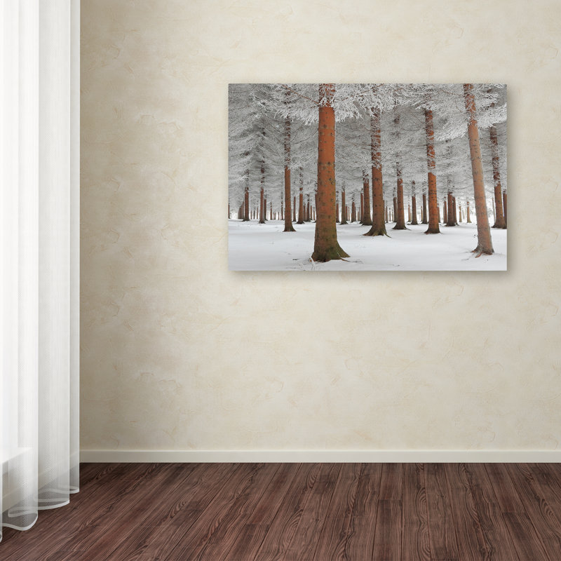 « blanc blanc », reproduction de photo sur toile tendue, H 12 po x l 19 po