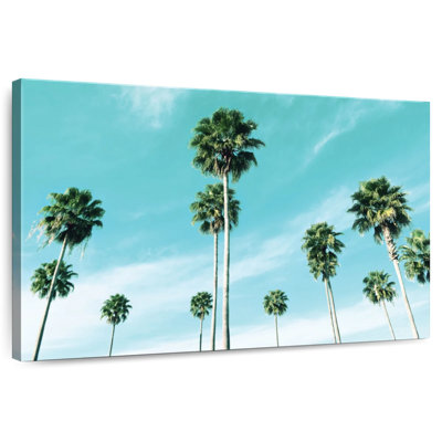 Harnek East Coast Palms