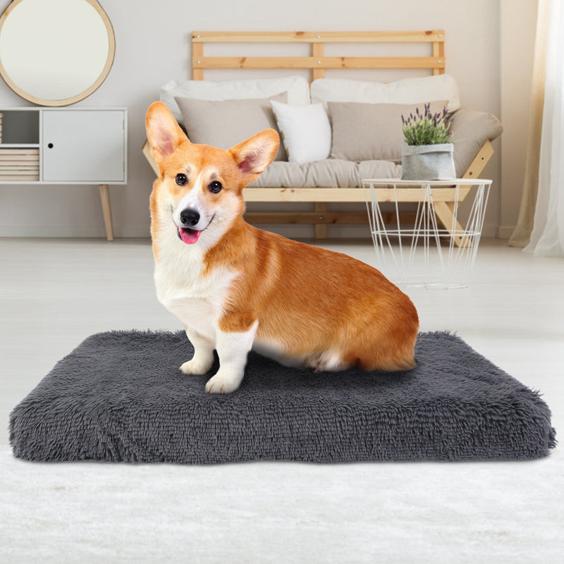 Lit orthopédique pour chien Eylul