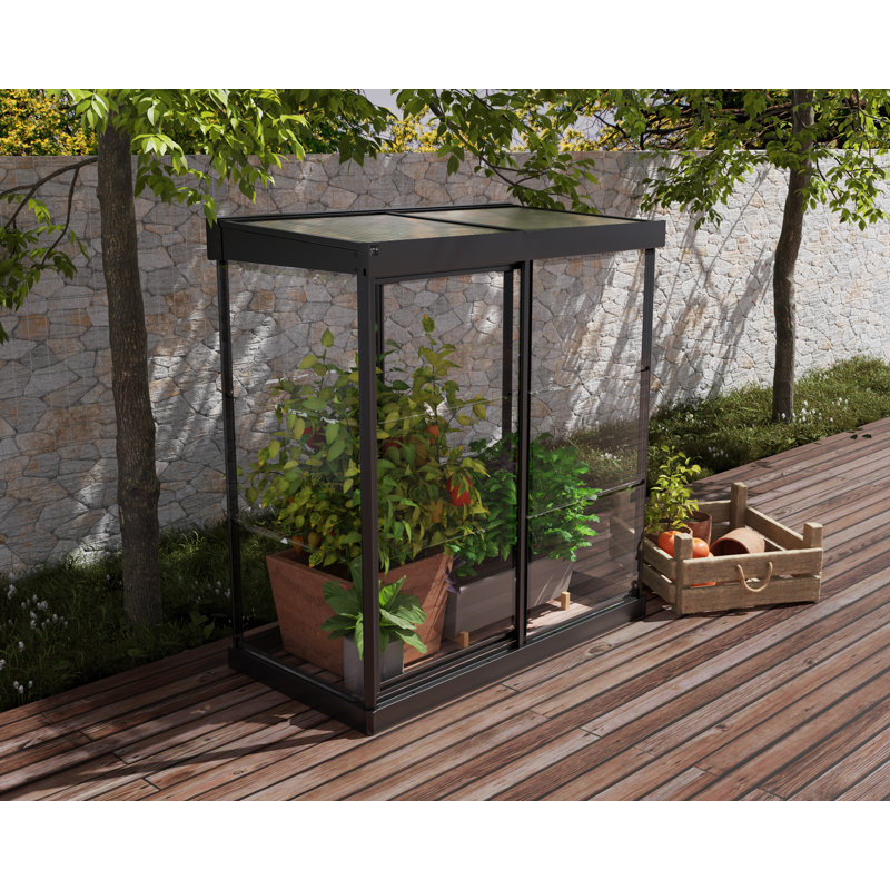 Palram Black Polycarbonate and Aluminum Mini Greenhouse