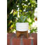 Pot de fleurs blanding-325568810