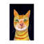 Chat roux