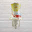 Floral and Fish Night Light