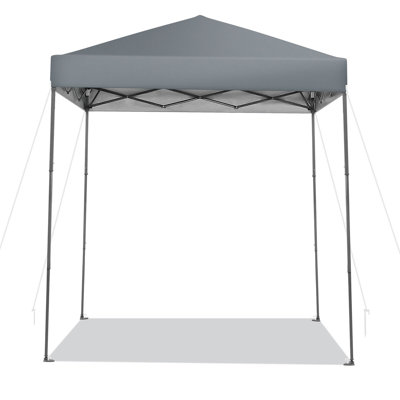 79.2'' W x 79.2'' D Iron Pop-Up Canopy
