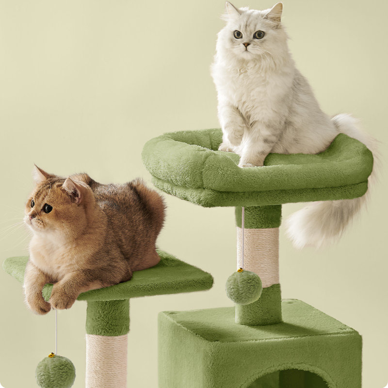 Arbre à chat 61 po H, 19.8"L x 16.2"W x 60"H, Vert