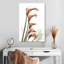 Harnek lys Calla ascendant-108452597