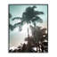 «Shady Palm Trees», art de la giclée encadrée par Noah Bay-950185028-950185034