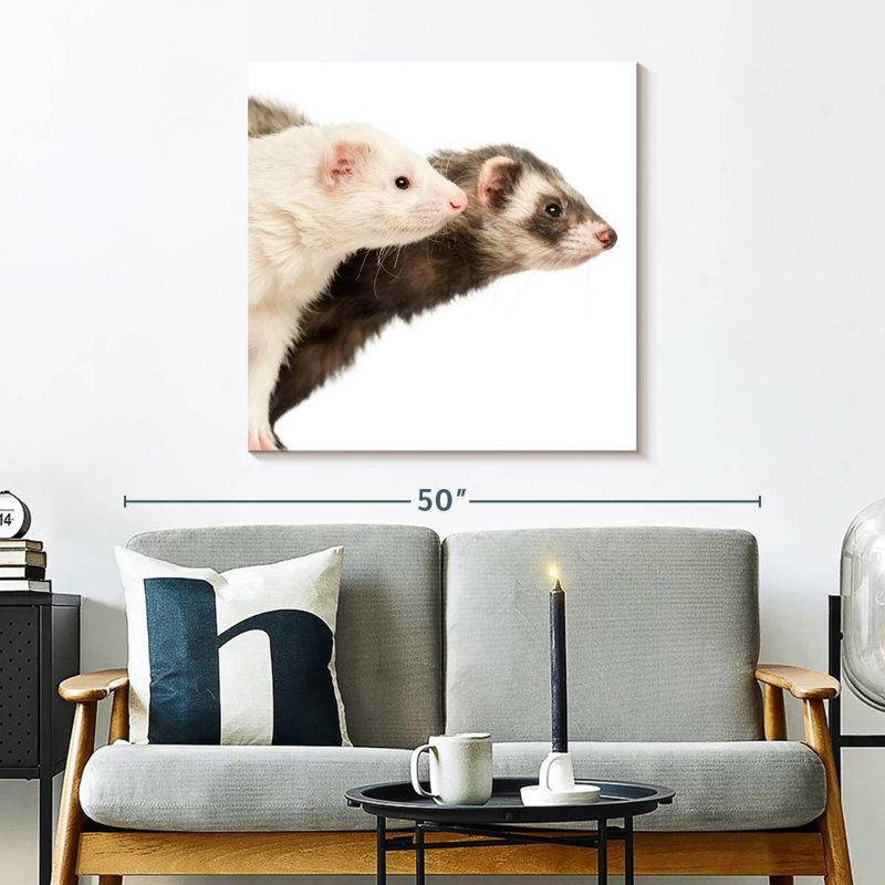 Crowle Two Curious Ferrets, 30" H x 30" W