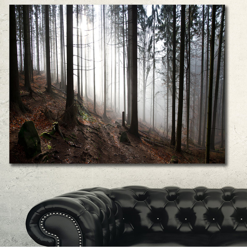 Misty Forest Morning Landscape Canvas Print