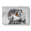 Orange Eyed Owl - Wrapped Canvas-56632465