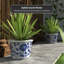Ceramic Planter-1528577225