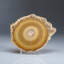 Genuine Aragonite Stalactite Slice from Mexico (0.6 lbs)