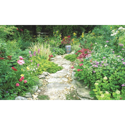 Landscape & Nature Non-Wall Damaging Window Decal