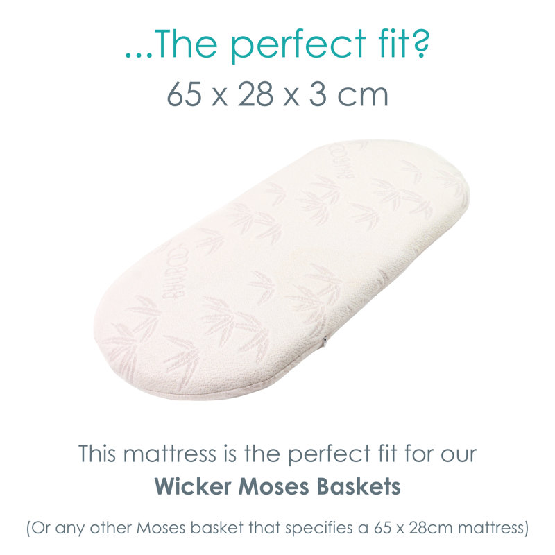 Clair De Lune Coconut Fibre Mattress, Moses Basket (28 x 65 cm)