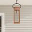 Ginseng Outdoor Hanging Lantern