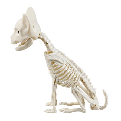 Halloween Decorative Accent