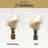 Natural Seashell Lamp Finial-36759293