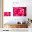 Pivoine rose brillante-436863259