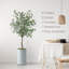 Arbre artificiel dans un pot de fleurs moderne, faux arbre en soie d'eucalyptus (décoration en pot et arbre)