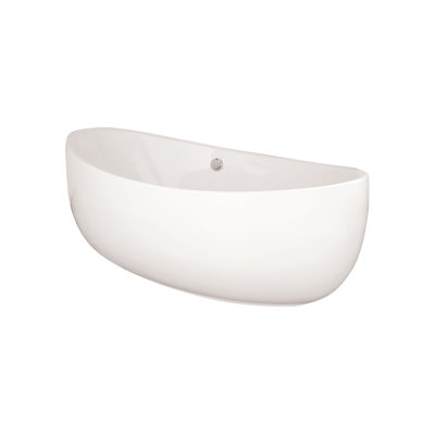 Picasso 66'' L Freestanding Soaking Bathtub