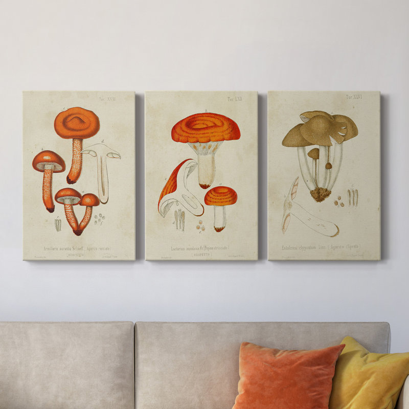 Toile tendue avec châssis Mushroom Variétés IV - prêt à accrocher, H 27 po x l 54 po x P 1 po