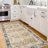 Nainika Bev Distressed Machine Washable Area Rug-685824376-717926312