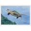 Glenda Roberson - Single Picture Frame Painting-20661707