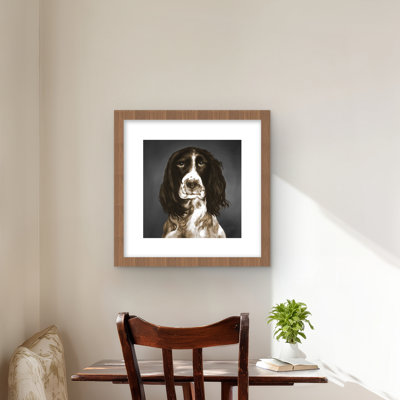 Brown English Springer Spaniel Print - Framed Matted Decor