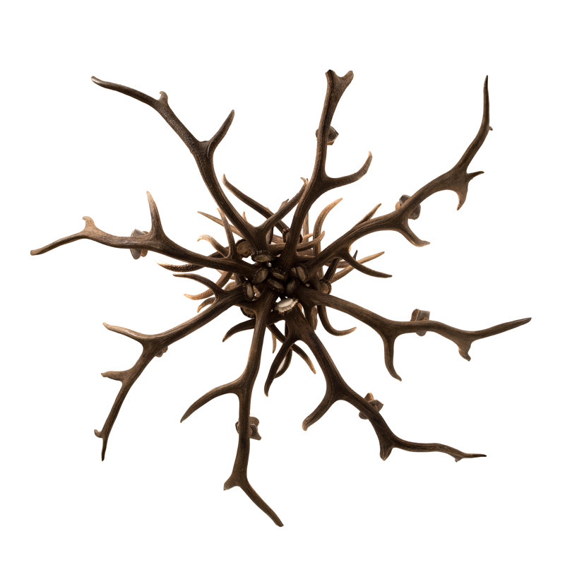 Rustic Lodge 8 - Light Chandelier