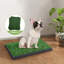 Pelouse Dariyon pour chien avec 2 remplacements