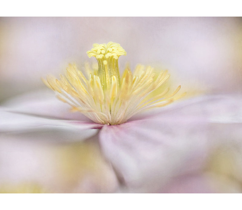Wrapped Canvas Print, 91.44 cm H x 60.96 cm W