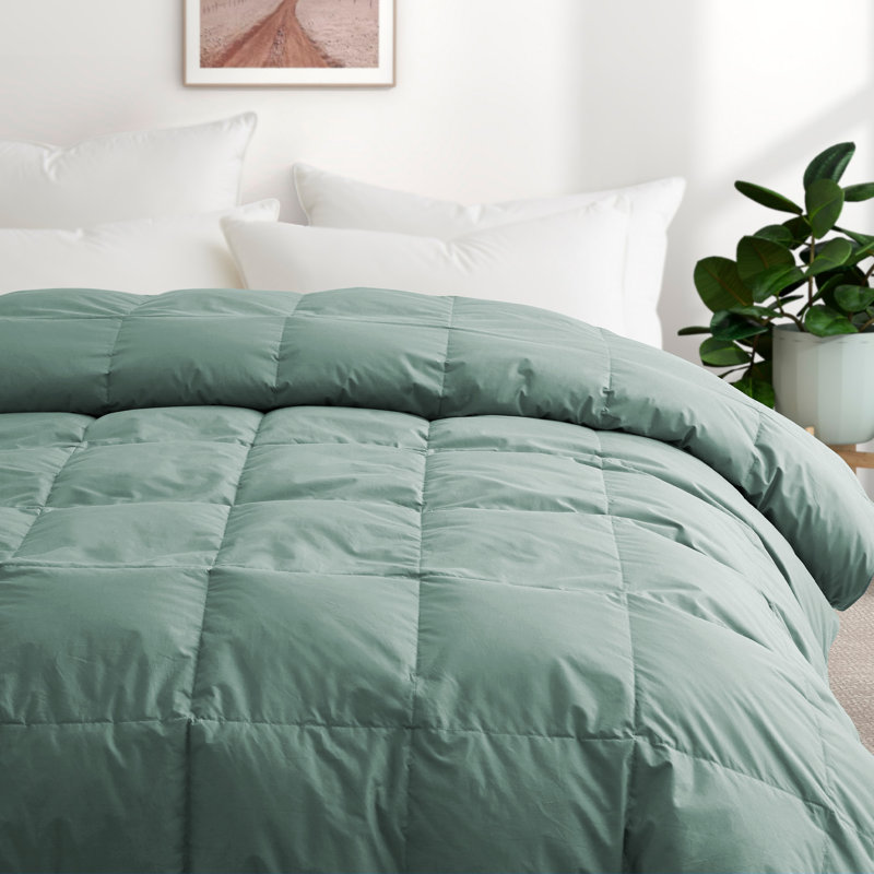 All Season Cotton Down Comforter/Duvet Insert, Twin Comforter, Green