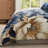 Bebejan English Manor 100% Cotton Sateen 5 Piece Reversible Comforter Set-109269668