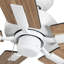 Ventilateur de plafond 52 po Erikson-103256048-103256050