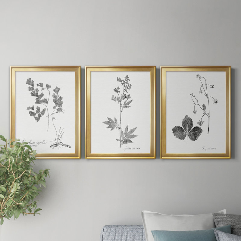«Botanical Imprint I», ensemble de 3 peintures sur toile encadrées, H 22,5 po x l 91,5 po x P 1,5 po, Doré