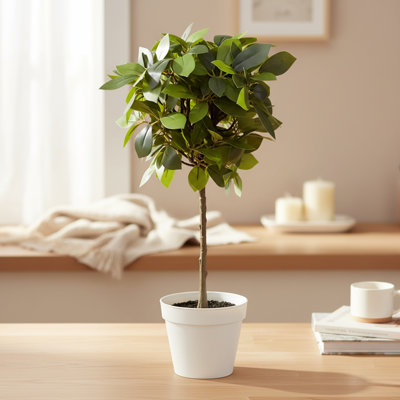 Algreen 18" Faux Weeping Ficus in White Decorative Planter