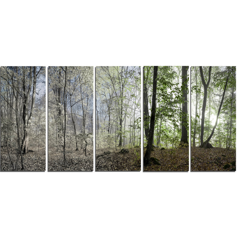 Green Morning Forest Panorama Canvas Print, 60" x 28"