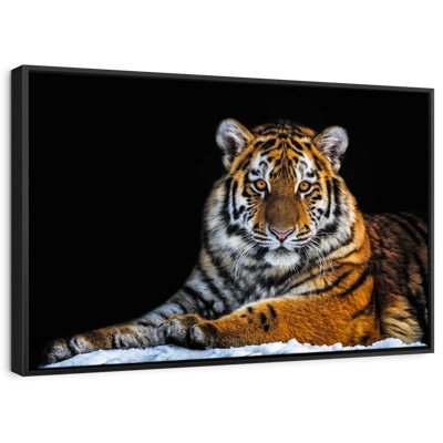 Animal «Snapshot Wall Art»