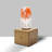 Solid Wood Novelty Lamp