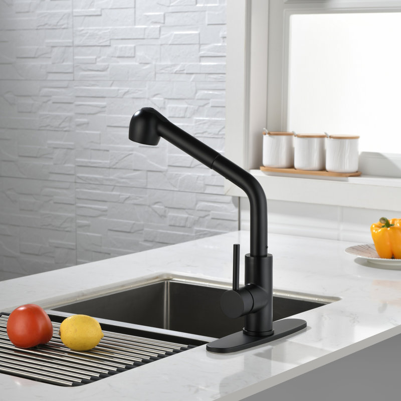 Robinets de cuisine avec douchette extractible, robinet d'évier de cuisine à poignée simple avec douchette extractible